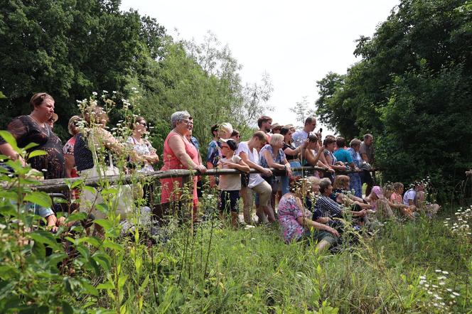 Tak wyglądało kiedyś żniwowanie na polskiej wsi