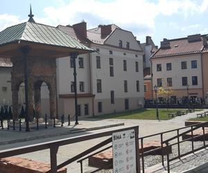 Tarnowskie Yad Vashem już blisko. Gaj Sprawiedliwych gotowy po wakacjach