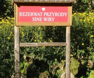 Rezerwat przyrody Sine Wiry 
