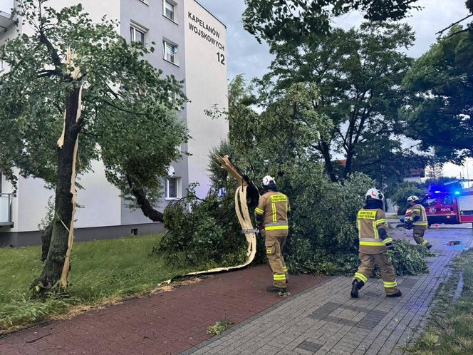 Powalone drzewa, zalania, wstrzymany ruch tramwajów: dramatyczny bilans orkanu nad Śląskiem