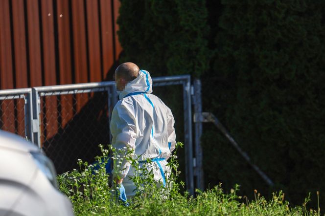 Sąsiad odkrył zbrodnię. Zobaczył Katarzynę i wezwał policję