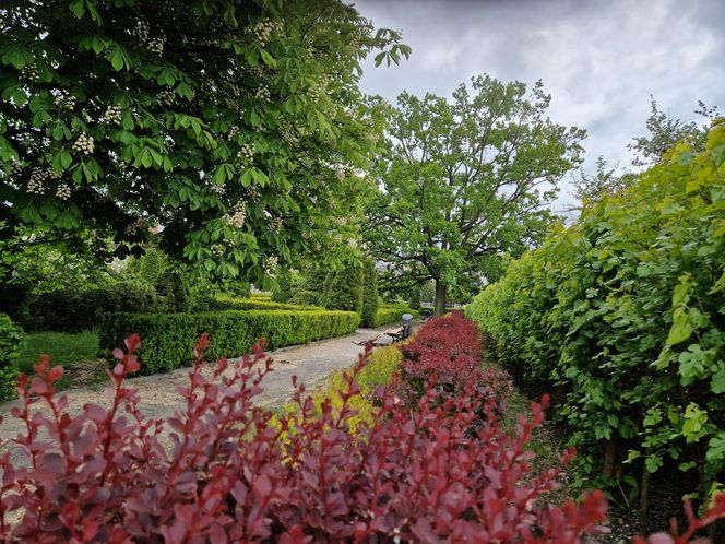 Sielanka, czyli zielona perła Bydgoszczy, o której mało kto pamięta!