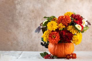 To nie musi być lampion. Pokażę ci jak z robić wazon z dyni i zaprosić jesień do domu!