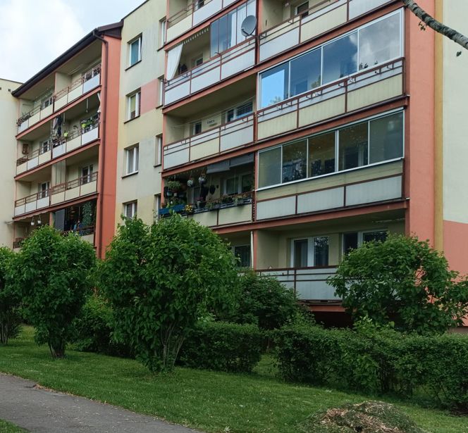 Chciała zarobić, a została bez środków do życia