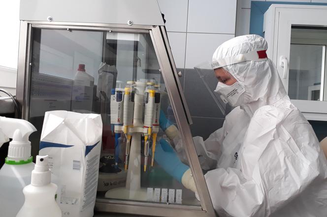 Laboratorium do wykrywania koronawirusa w ŚCO