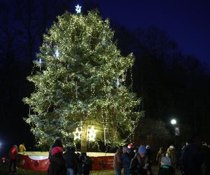 Rozświetlenie choinki w Parku Śląskim - ZDJĘCIA