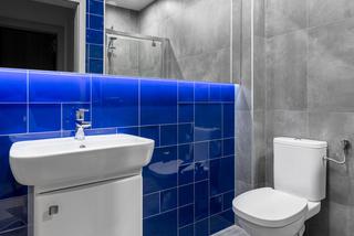 Szara łazienka - niebieski