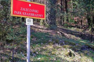 Parki krajobrazowe i rezerwaty województwa łódzkiego. To idealne miejsca na weekendowy wypad
