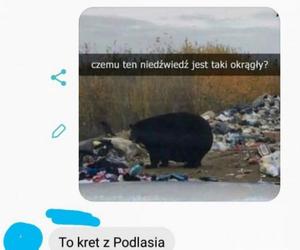 Najlepsze memy o Podlasiu. Zobacz najciekawsze memy o województwie podlaskim. Ubaw do łez!