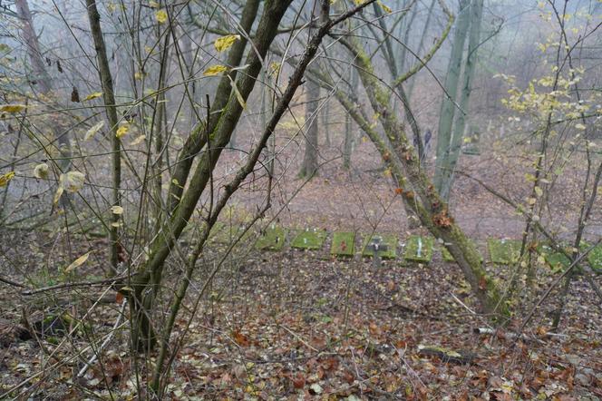 Byliśmy na Górze Czarownic w Fordonie. Na stosach spłonęły tu przynajmniej 72 kobiety [ZDJĘCIA]