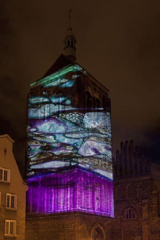 Festiwal NARRACJE