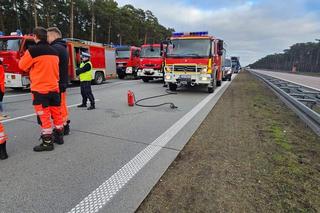Śmiertelny wypadek na A2 pod Słubicami. 57-latek z forda wjechał pod tira [ZDJĘCIA].
