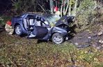 Śmiertelny wypadek pod Bełchatowem. 29-latka uderzyła audi w drzewo [ZDJĘCIA]