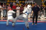 X Międzynarodowy Turniej Karate Shinkyokushin Skarżysko-Kamienna CUP 2024