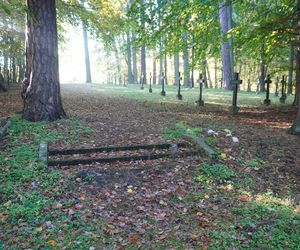 Zapomniany cmentarz wojskowy położony w środku lasu. Pochowano tam około 800 niemieckich żołnierzy [ZDJĘCIA]