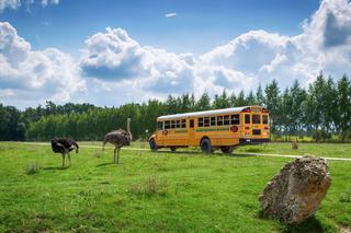 Zwierzyniec Bałtowski