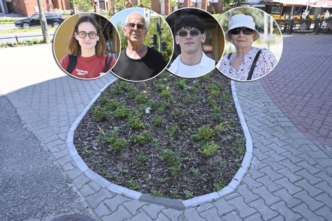 Mieszkańcy Warszawy oceniają efekty rozbetonowania stolicy. Przeżyliśmy upał na „zielonym skwerze”