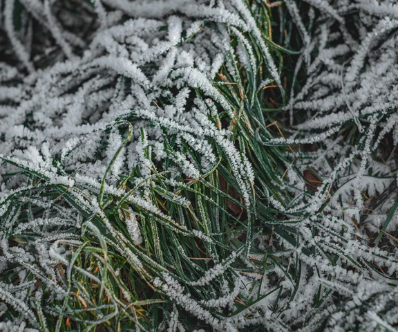 W sierpniu padł rekord zimna! Meteorolodzy w szoku