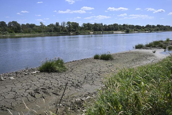 Alarm! Wisła wysycha na naszych oczach. Katastrofalny poziom wody w Warszawie