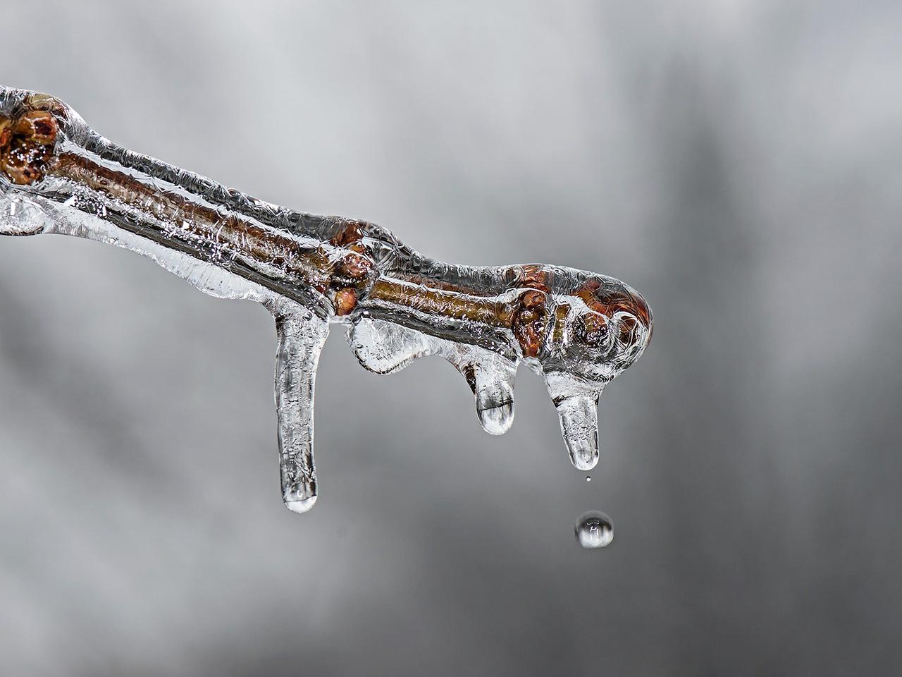Dolnośląskie. Ostrzeżenie IMGW: silne i siarczyste mrozy! Temperatura spadnie do -20 stopni!