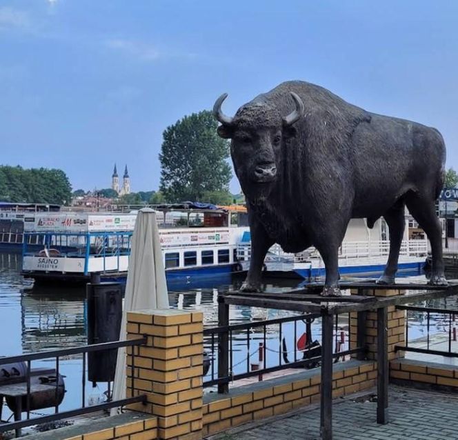 Augustów w woj. podlaskim