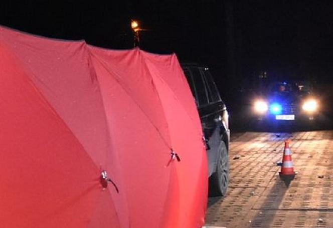 Koń ZABIŁ motorowerzystę?! ZOBACZ ZDJĘCIA