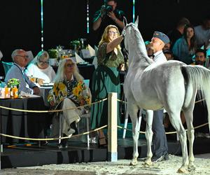 Porażka Pride of Poland 2024? Zyski są zdecydowanie niższe niż rok temu