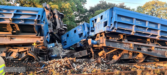 Wykoleiło się sześć wagonów pociągu towarowego   