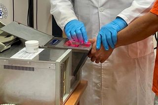 28-latek odkręcił gaz i zabił dwa psy. Jego była partnerka ledwo uszła z życiem!