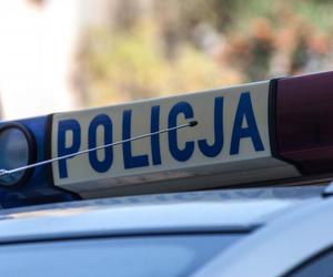 Pies wbiegł pod samochód. Kierowcy grozi 5 lat więzienia