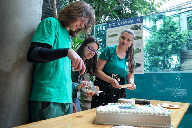 Hugo z ZOO baluje! Hipopotam z Warszawy ma 18 lat i dowód osobisty