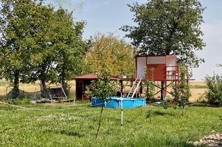 Zabójstwo 38-latki pod Kluczborkiem. Jej mąż zgłosił, że zaginęła, a później przyznał się do zbrodni [ZDJĘCIA]