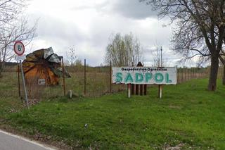 Wielka truskawka pod Warszawą