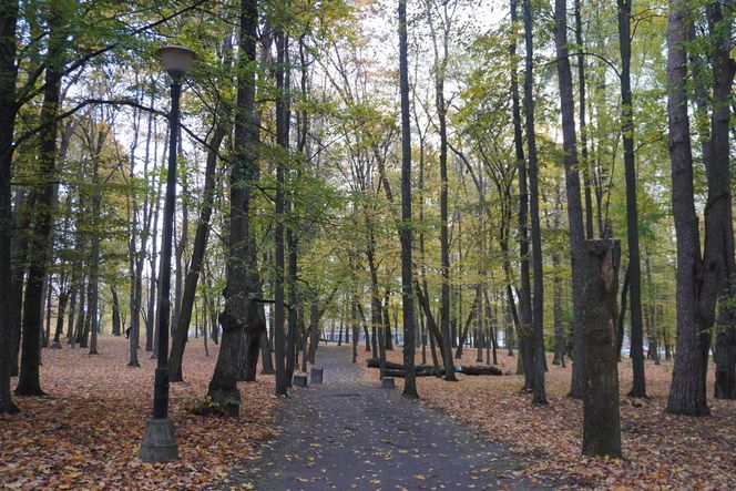 Park Lubomirskich w Białymstoku jesienią 