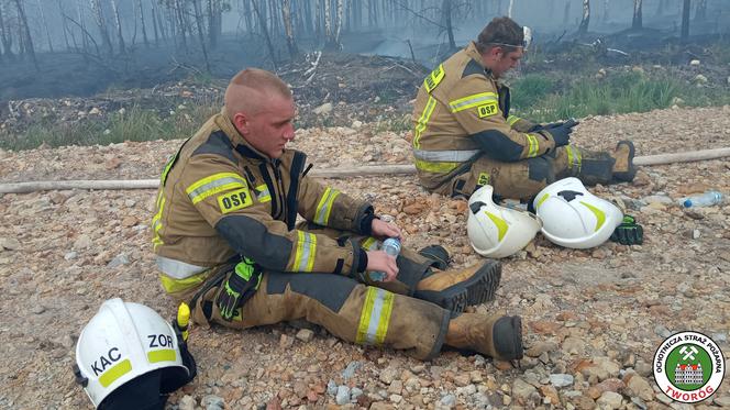 Strażacy gaszą ogromny pożar lasu w Miasteczku Śląskim. Wysiłek jest pgromny