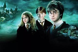 Harry Potter i Komnata Tajemnic QUIZ. Prawda, czy Fałsz? Sprawdź, jak dobrze znasz tę część
