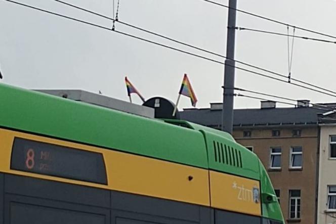 Tęczowe flagi na tramwajach w Poznaniu