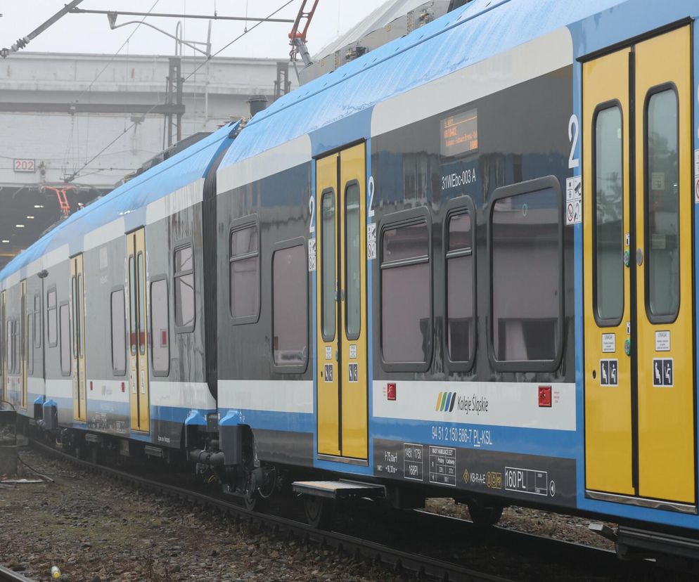 Koleje Śląskie wznowiły ruch pociągów. Estakada zagrożona zawaleniem