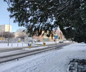 Takiej zimy we Wrocławiu  nie było od kilku lat. Zobacz te piękne ośnieżone miejsca