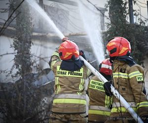 Pożar Wilczej Jamy w Bieszczadach