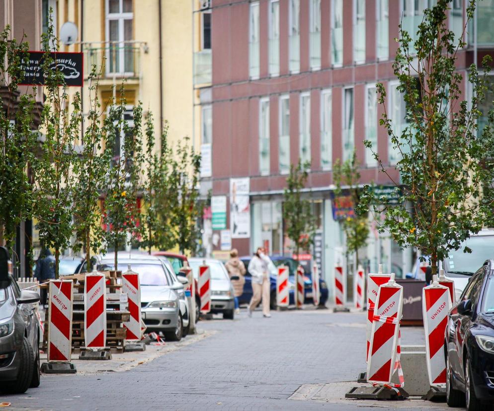 Tysiąc drzew w nieco ponad miesiąc przybędzie w Sosnowcu. Miasto podpisało umowę 