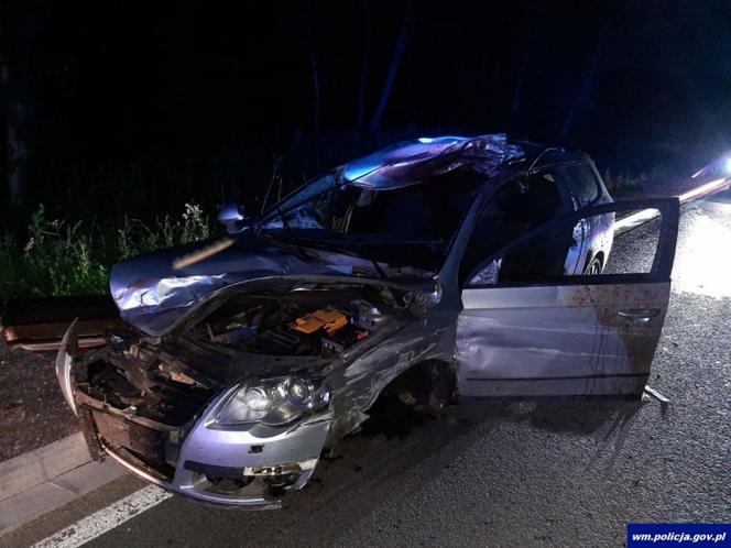 Wypadek na trasie Frombork-Braniewo. Łoś wtargnął pod koła samochodu. Śmierć na miejscu!