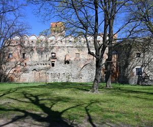 Polskie miasto zachwyciło zagraniczną turystkę. To perła Dolnego Śląska