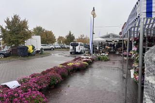 Ceny zniczy i kwiatów pod cmentarzem w Gorzowie