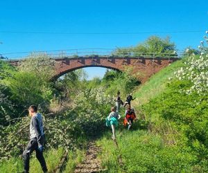 Ludzie sami wyrywają chaszcze na torach. Tak walczą o reaktywację linii kolejowej nr 241 z Tucholi do Koronowa