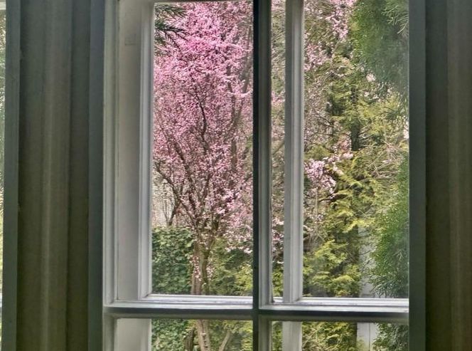 Dom Krystyny Jandy w Milanówku