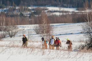 Goryl z kurczakiem przegnali myśliwych