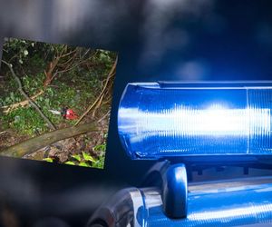 Gałąź spadła na 56-latka. Mężczyzna nie żyje