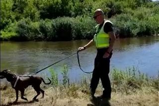 Trwają poszukiwania zaginionego 20-latka z Dęblina