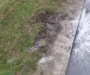 Ślady zbrodni na drodze, spalone ubrania ofiary spod Grójca. Sąsiedzi: Myśleliśmy, że to mafijne porachunki